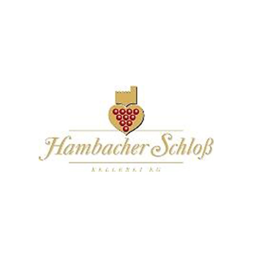 Zur Webseite von Hambacher Schloss